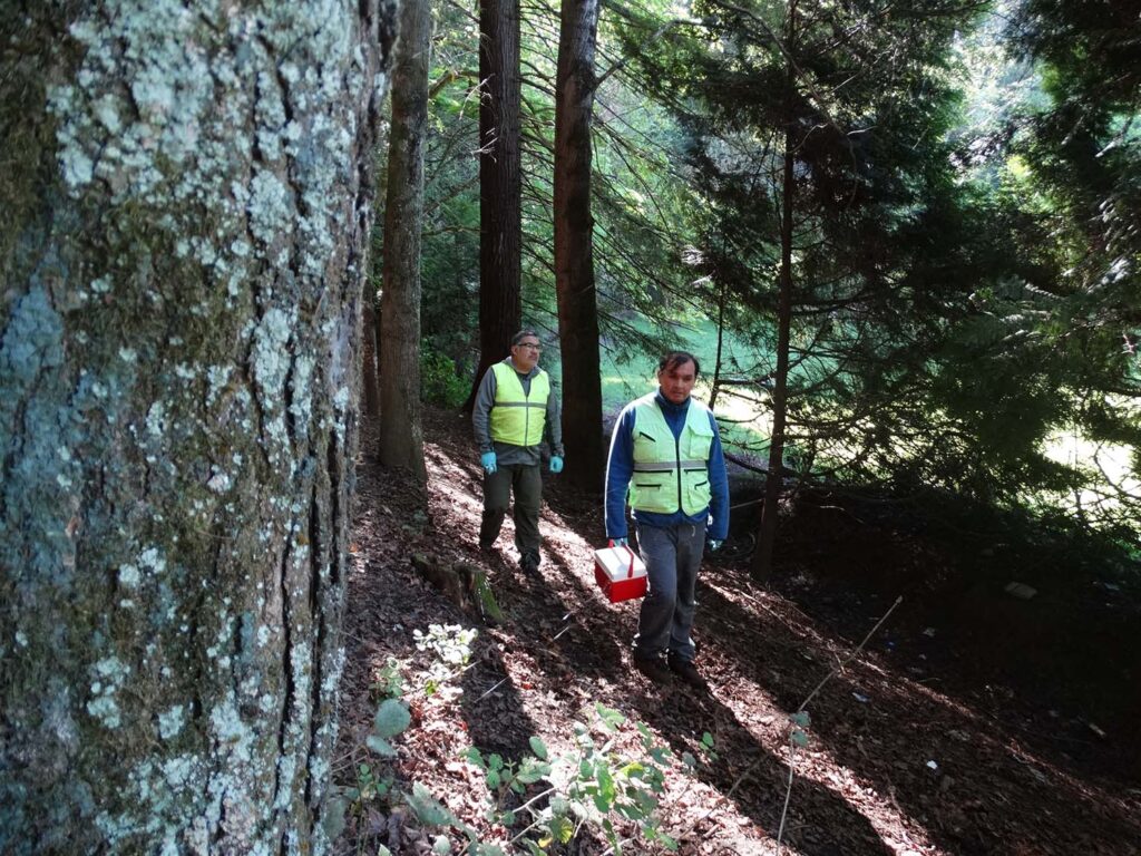 arauco-politica-de-biodiversidad-y-servicios-sistemicos