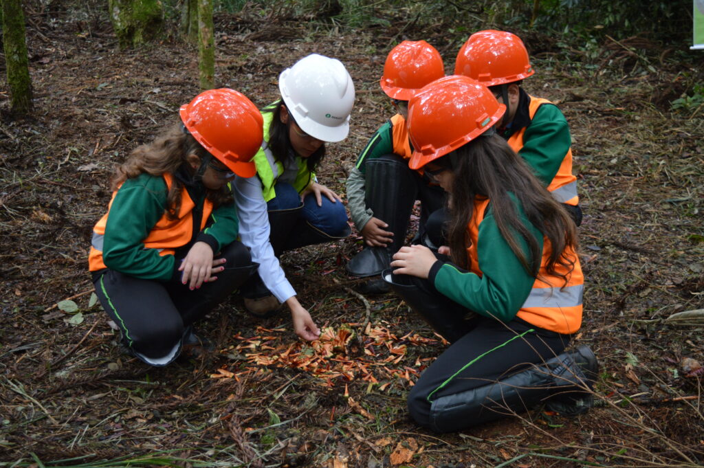 vinculacion-con-la-comunidad-arauco