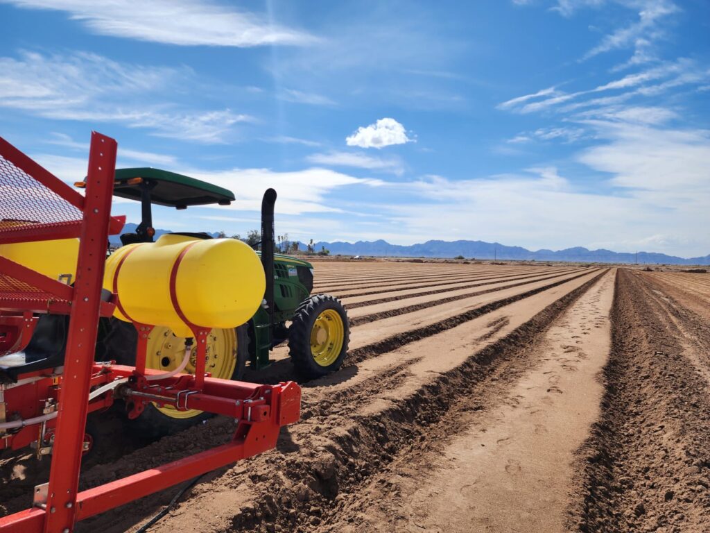 plantacion-de-sandias-en-yuma-valley-arizona