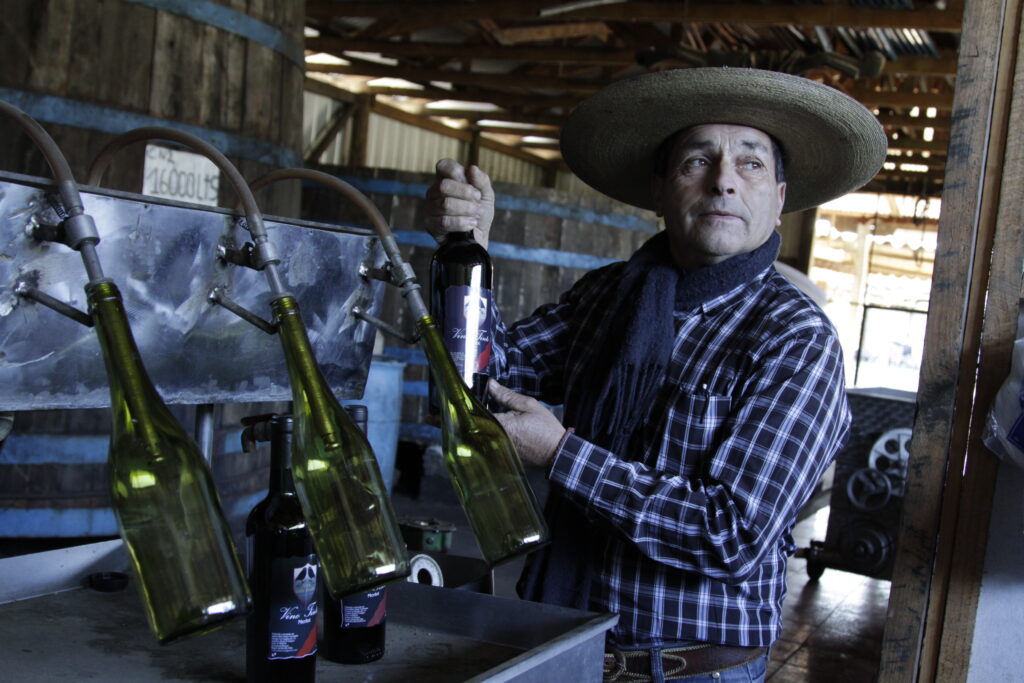 vinos-del-valle-de-itata