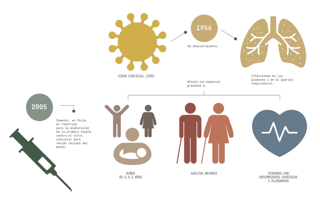 infografia-virus-sincicial