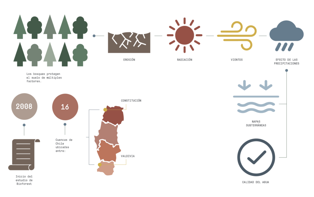 infografia-bioforest