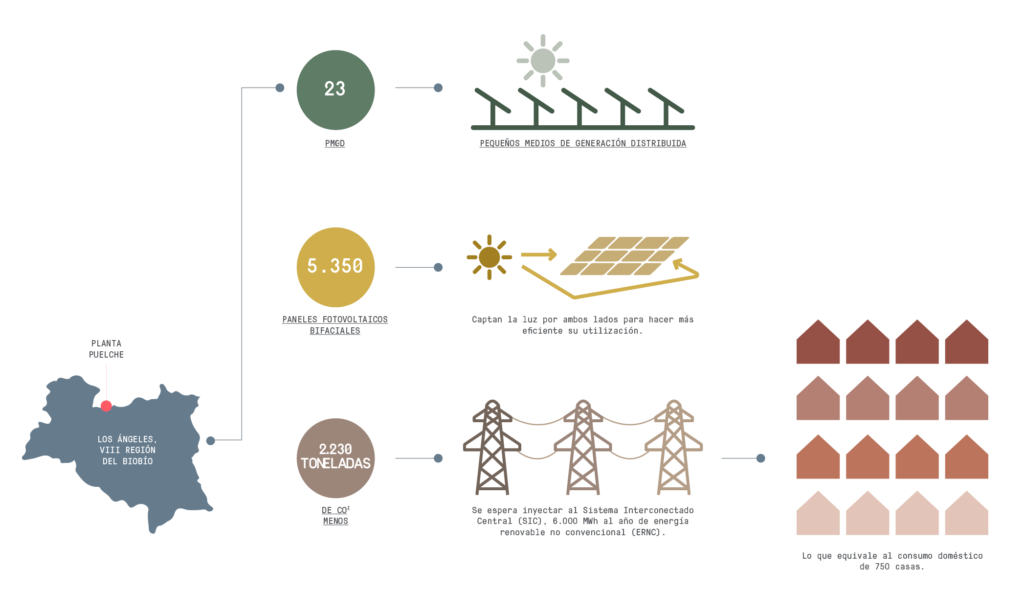 infografia-proyecto-puelche-de-copec