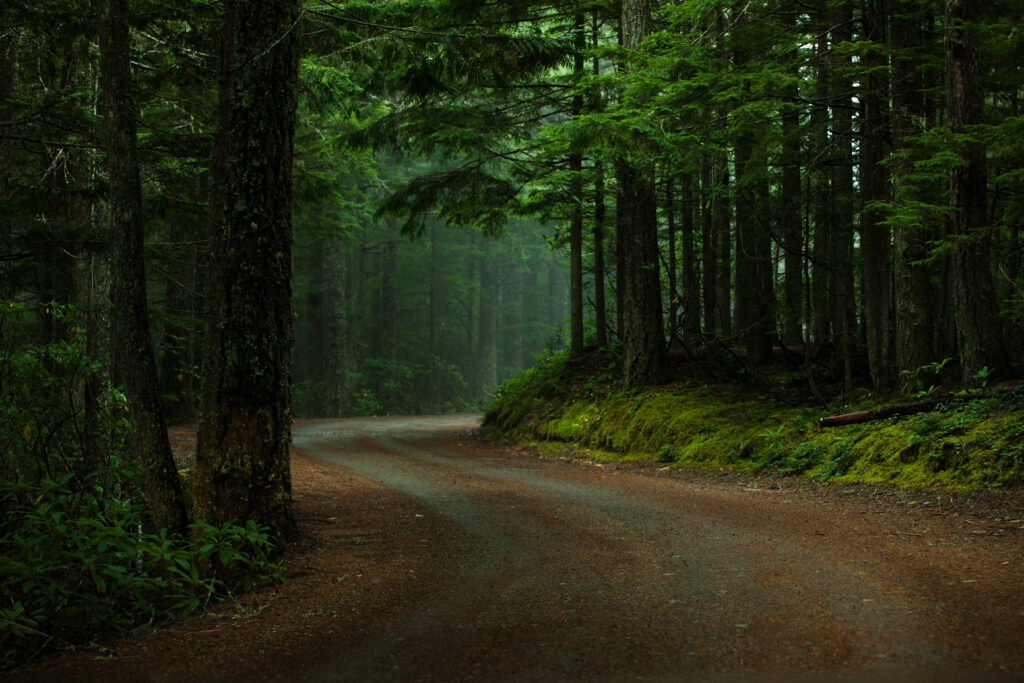 caminos-arauco