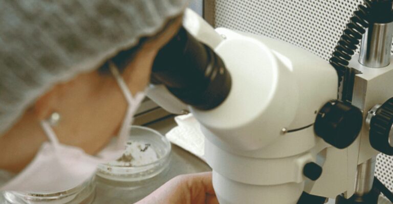 Bioforest: 35 años sembrando futuro