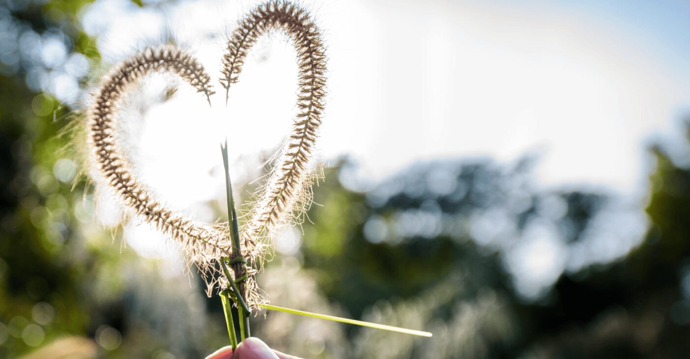 Empresas Copec y filiales: El sello que las personas eligen